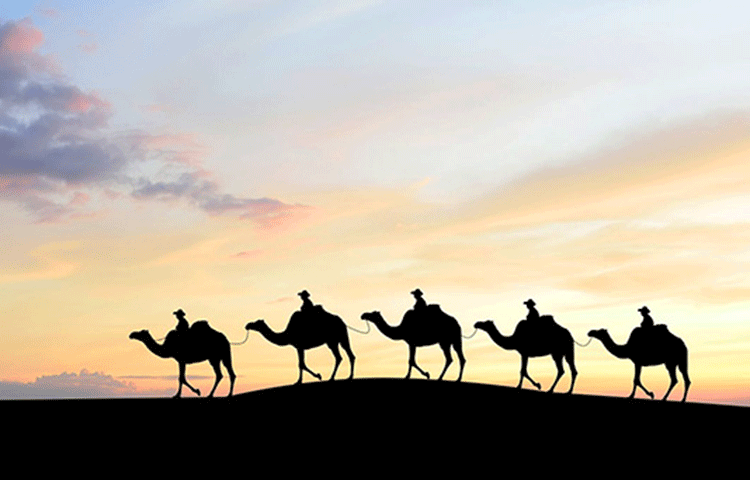 シルクロードのように、洋の東西を繋いだ治療を実現したい